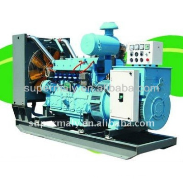 10kW bis 1000kW Erdgasgenerator mit CE ISO